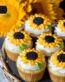 SunFlowers-theme-cup-cake-vanilla