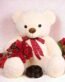 send gift to pakistan