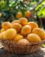 basket mango