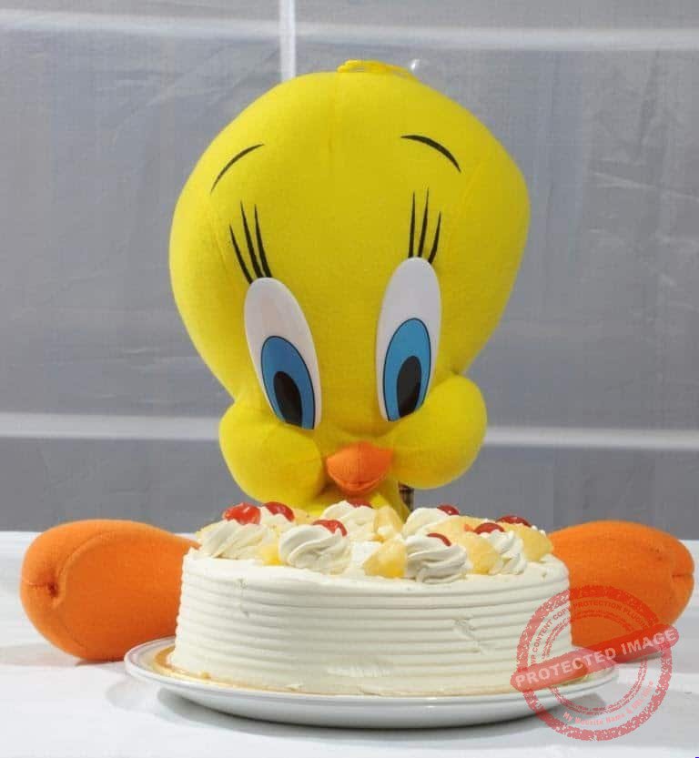 Cake 2LBS with Tweety gift by Kids Combos Cake 2LBS with Tweety gift by Kids Combos | Smilee