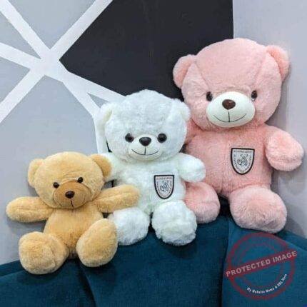 Teddy Teddy by Valentine’s Day for Valentines Day | Smilee