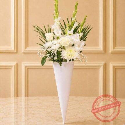 Cone of Snow | Smilee