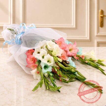 12 Stems Gladiolus Bouquet in Lahore | Smilee
