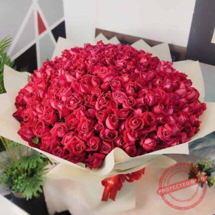 300 Local Red Roses Bouquet in Lahore for Valentines Day | Smilee