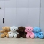 8 Inch Teddy Bears by Combo Deals for Her | Smilee