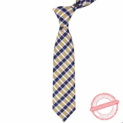 Golden Check Tie gift by Men’s Accessories | Smilee