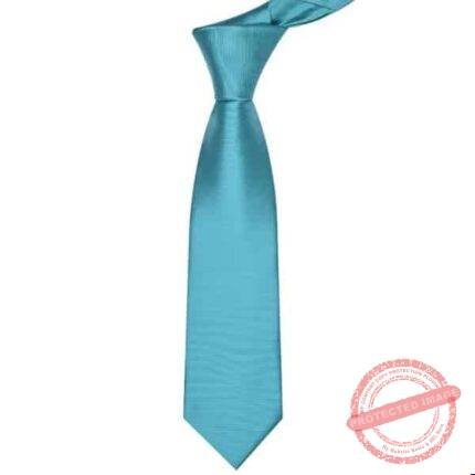 Green Plain Tie gift by Men’s Accessories | Smilee