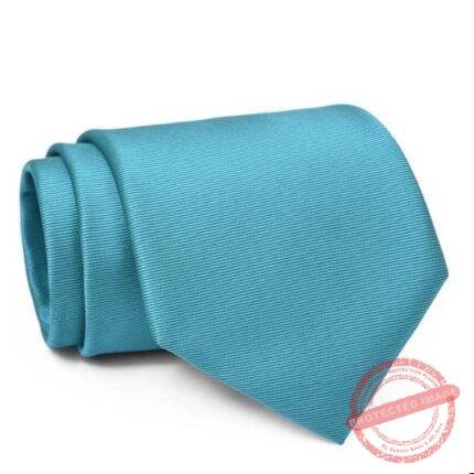 Green Plain Tie gift by Men’s Accessories | Smilee