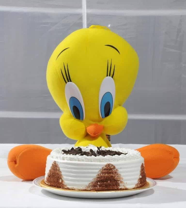 Tweety with Black Forest Cake – COMBO DEALS Tweety with Black Forest Cake - COMBO DEALS | Giftoo Pakistan