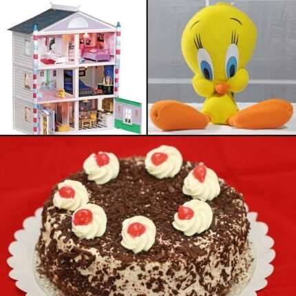 For Fairy - Kids Gift Combos | Giftoo Pakistan