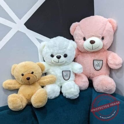 Teddy Teddy - Teddy Bears | Giftoo Pakistan