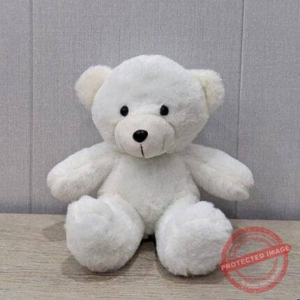 8 Inch Teddy Bear - Ride-On Toys & Kids Vehicles | Giftoo Pakistan