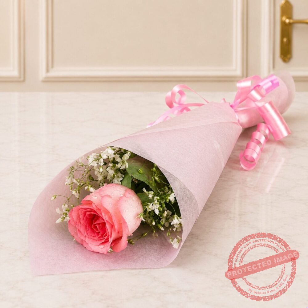 Pink Imported Single Rose – Faisalabad Flowers Pink Imported Single Rose - Faisalabad Flowers | Giftoo Pakistan