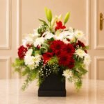 Appeal - Premium Quality Flowers | Giftoo Pakistan