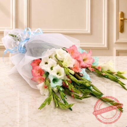 12 Stems Gladiolus Bouquet - Faisalabad Flowers | Giftoo Pakistan