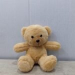 8 Inch Teddy Bear - Ride-On Toys & Kids Vehicles | Giftoo Pakistan