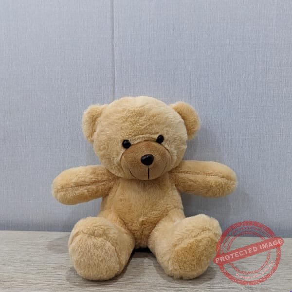8 Inch Teddy Bear – Ride-On Toys & Kids Vehicles 8 Inch Teddy Bear - Ride-On Toys & Kids Vehicles | Giftoo Pakistan