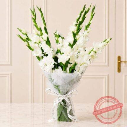 Wonderful White - Premium Quality Flowers | Giftoo Pakistan