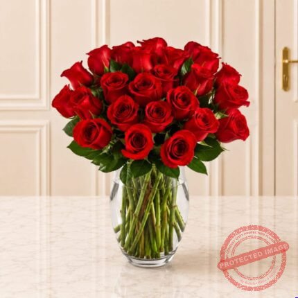 Scarlet Love - Premium Quality Flowers | Giftoo Pakistan