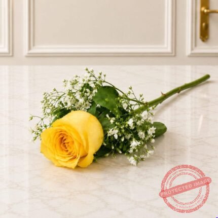 Imported Rose Long Stem 1 Yellow - Premium Quality Flowers | Giftoo Pakistan
