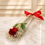 1 Imported Red Rose Stem Cone with Gypsophila - Valentine’s Day Gifts | Giftoo Pakistan