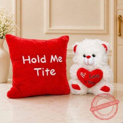 Hold Me Tight Cushion with Teddy - Anniversary Gifts | Giftoo Pakistan